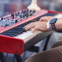 The Scuttles: Keyboard